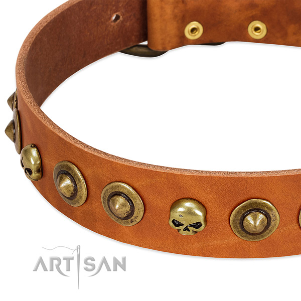 Significant decorations on genuine leather collar for your four-legged friend
