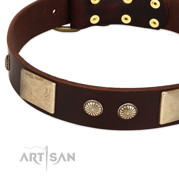 Corrosion proof D-ring on full grain leather dog collar for your four-legged friend