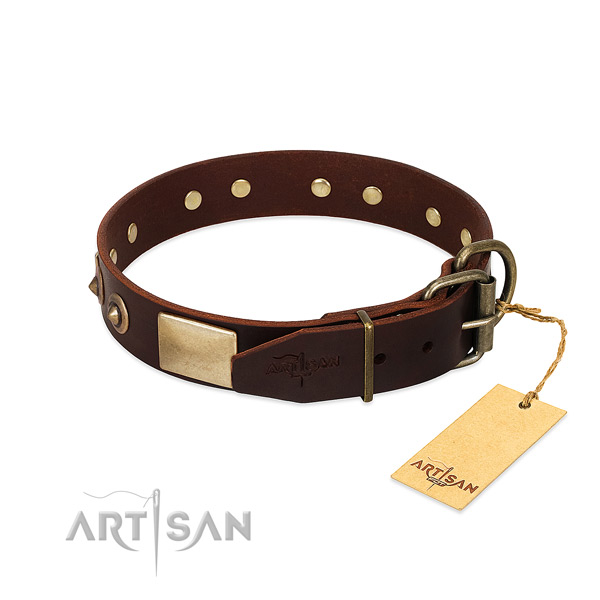 Reliable fittings on stylish walking dog collar