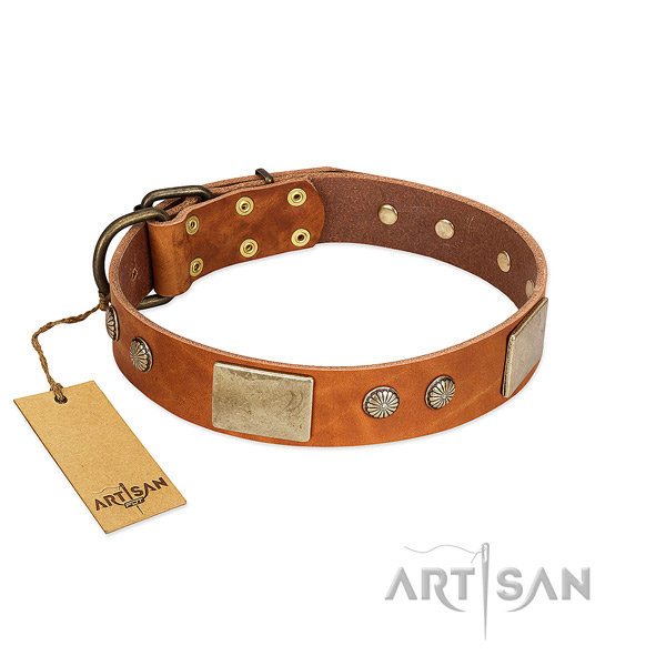 Easy to adjust full grain genuine leather dog collar for walking your dog