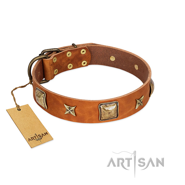 Exceptional leather collar for your four-legged friend