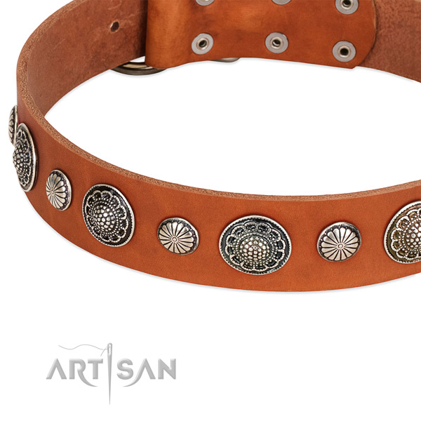 Full grain leather collar with rust resistant fittings for your handsome canine