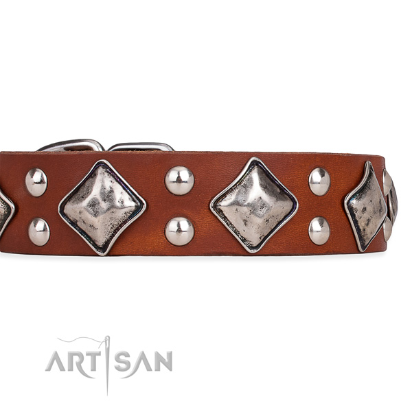 Genuine leather dog collar with fashionable rust resistant adornments