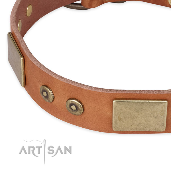 Corrosion proof hardware on leather dog collar for your four-legged friend