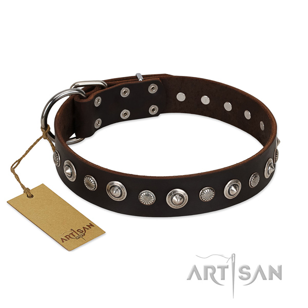 Durable leather dog collar with remarkable studs