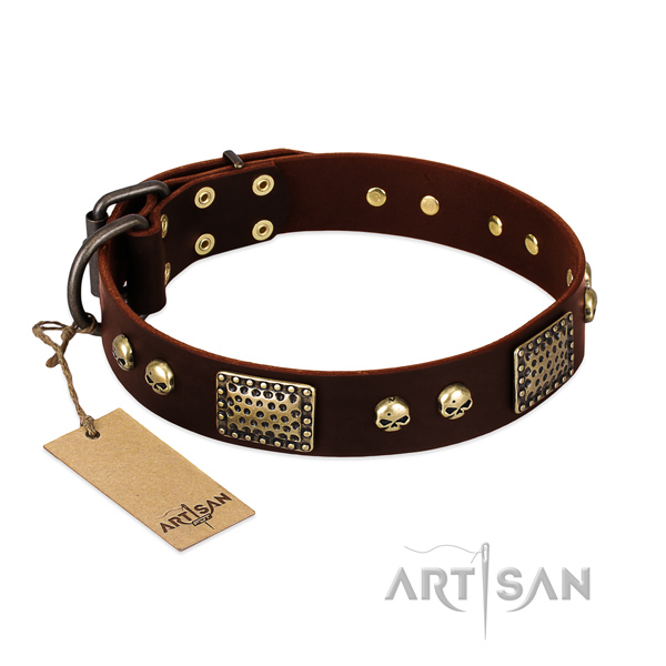Easy adjustable full grain leather dog collar for daily walking your four-legged friend
