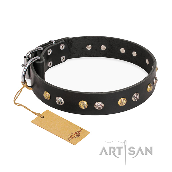 Walking fine quality dog collar with reliable buckle