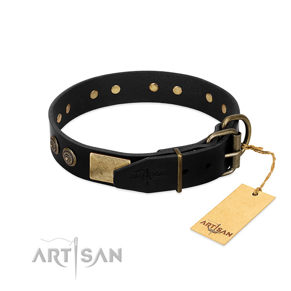 Reliable embellishments on natural leather dog collar for your four-legged friend