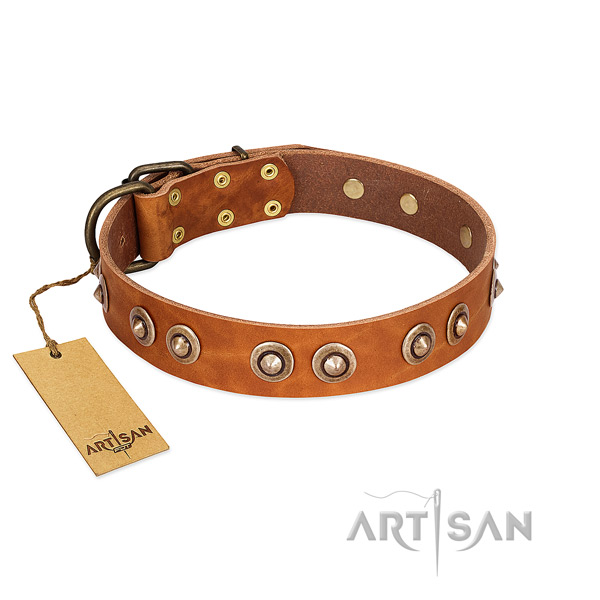 Corrosion proof embellishments on leather dog collar for your four-legged friend