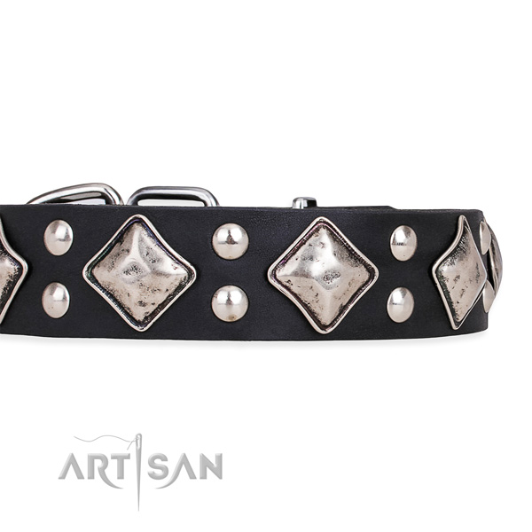 Full grain genuine leather dog collar with trendy reliable studs