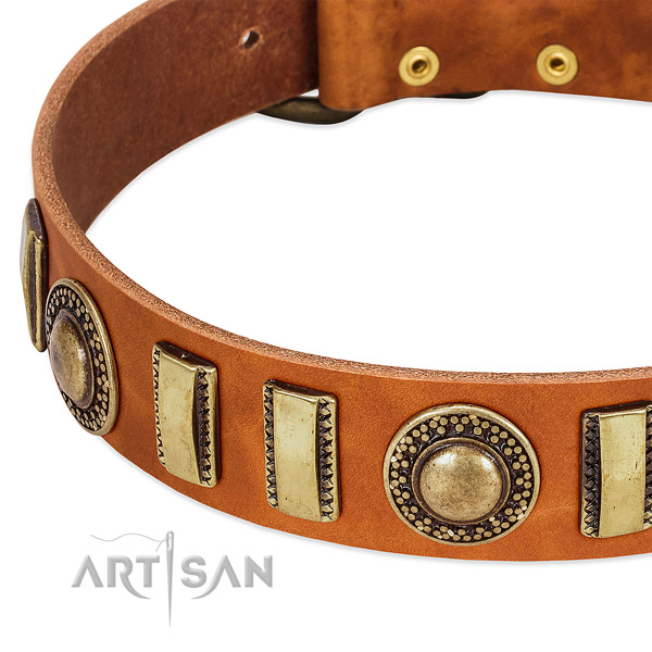 Durable natural leather dog collar with rust-proof fittings