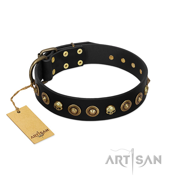 Leather collar with fashionable studs for your four-legged friend