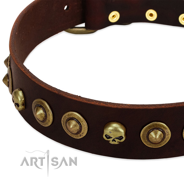 Incredible adornments on genuine leather collar for your dog