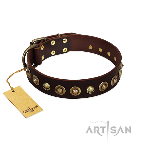 Natural leather collar with exceptional studs for your four-legged friend