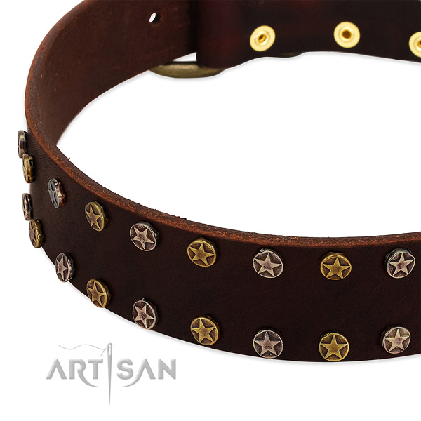 Daily use leather dog collar with top notch adornments