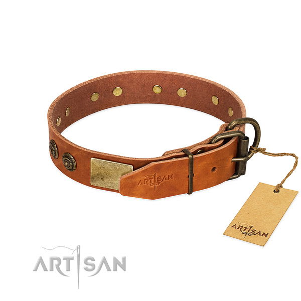 Durable buckle on full grain natural leather collar for daily walking your four-legged friend