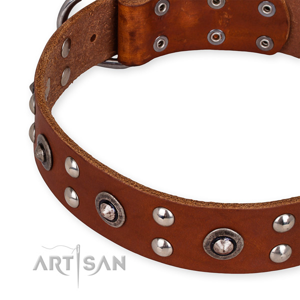 Genuine leather collar with strong hardware for your handsome canine