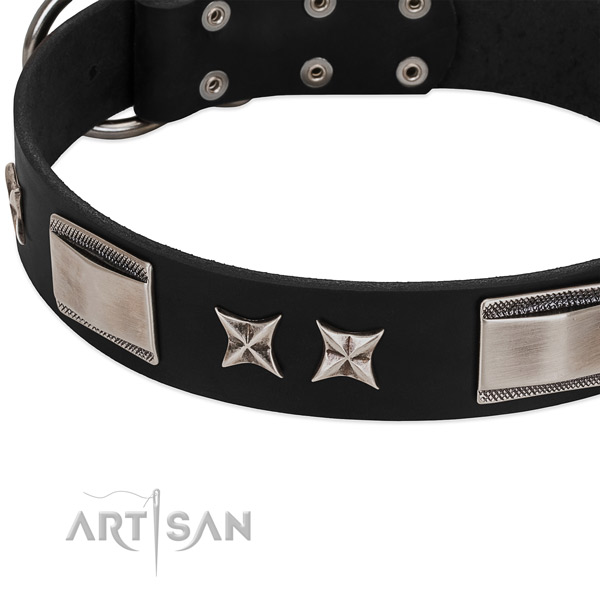 Flexible full grain natural leather dog collar with durable fittings