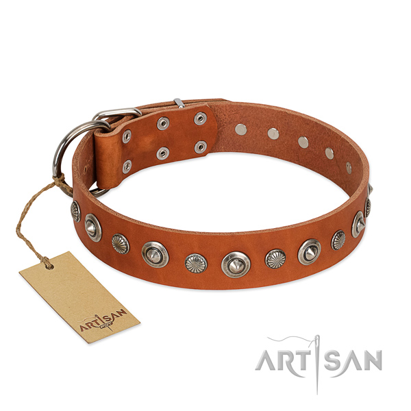 Top notch genuine leather dog collar with designer decorations