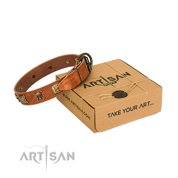 Inimitable leather dog collar with strong adornments