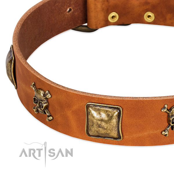 Amazing genuine leather dog collar with strong adornments
