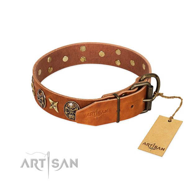 Genuine leather dog collar with reliable buckle and embellishments