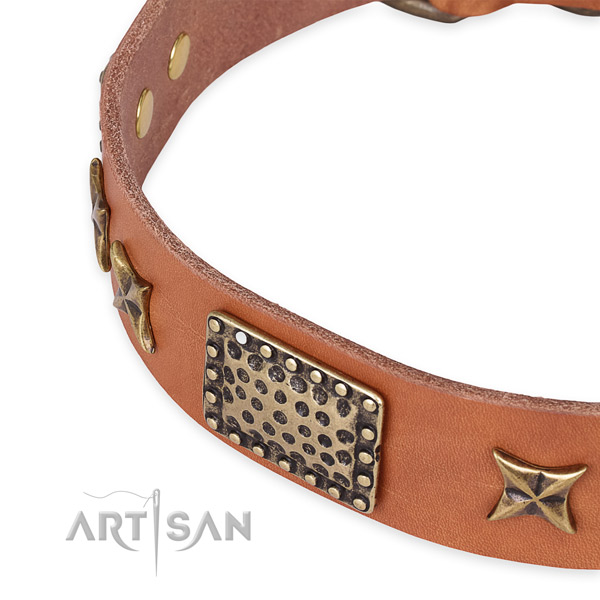 Full grain natural leather collar with rust-proof traditional buckle for your handsome dog
