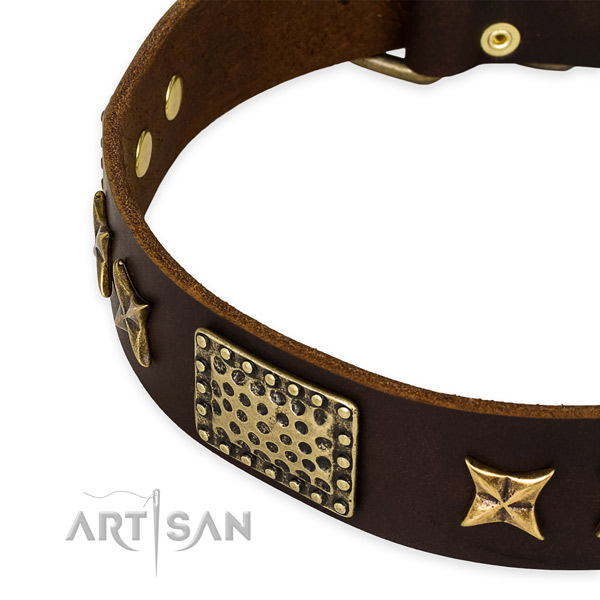 Genuine leather collar with rust resistant fittings for your attractive pet