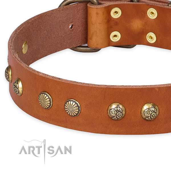 Full grain genuine leather collar with strong traditional buckle for your beautiful doggie