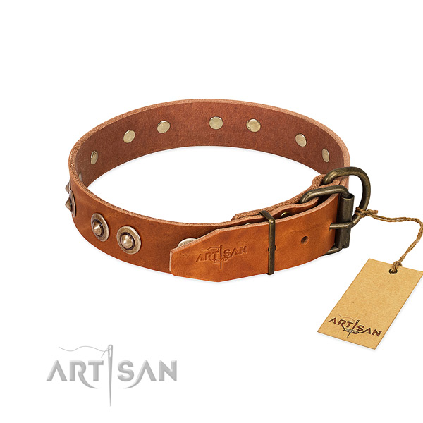 Strong adornments on leather dog collar for your canine