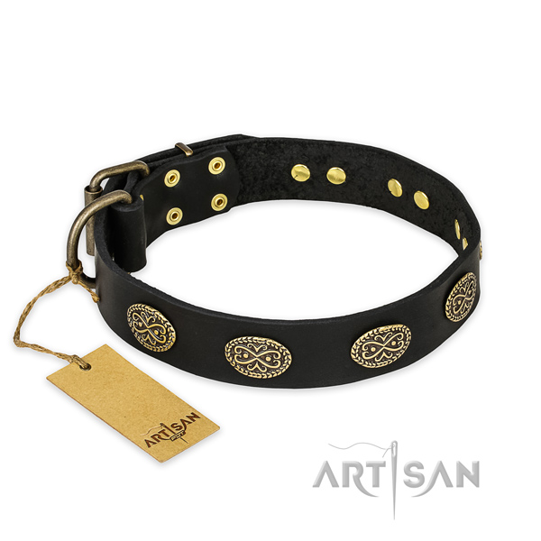 Embellished full grain leather dog collar with durable fittings
