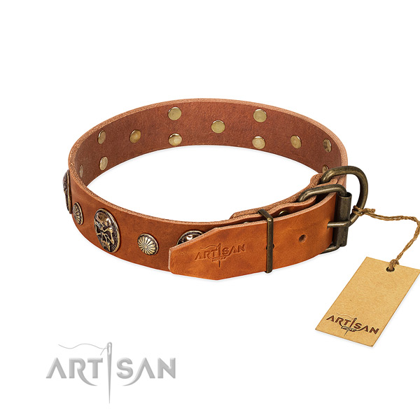 Rust resistant hardware on natural genuine leather collar for walking your doggie