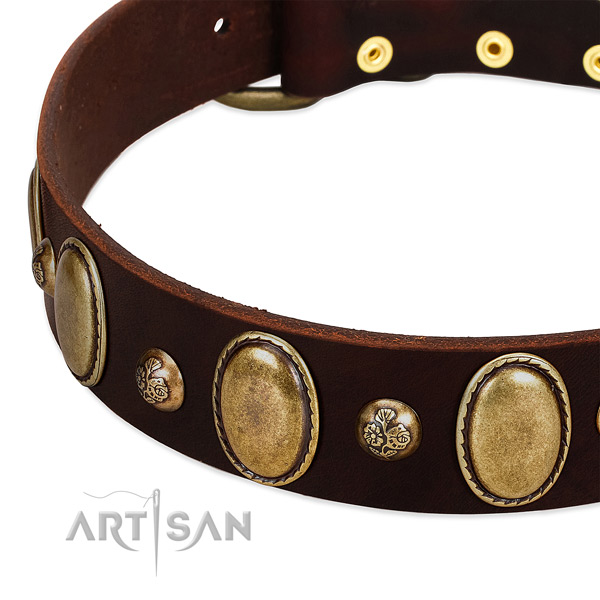 Full grain genuine leather dog collar with fashionable studs