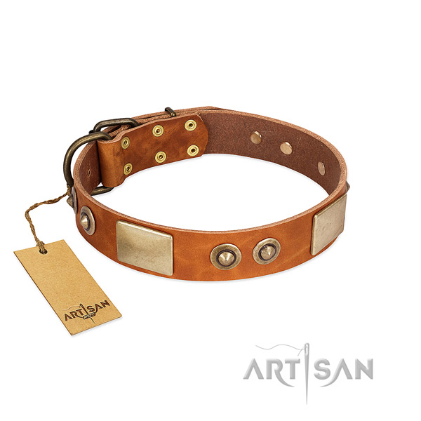 Easy adjustable full grain leather dog collar for daily walking your doggie