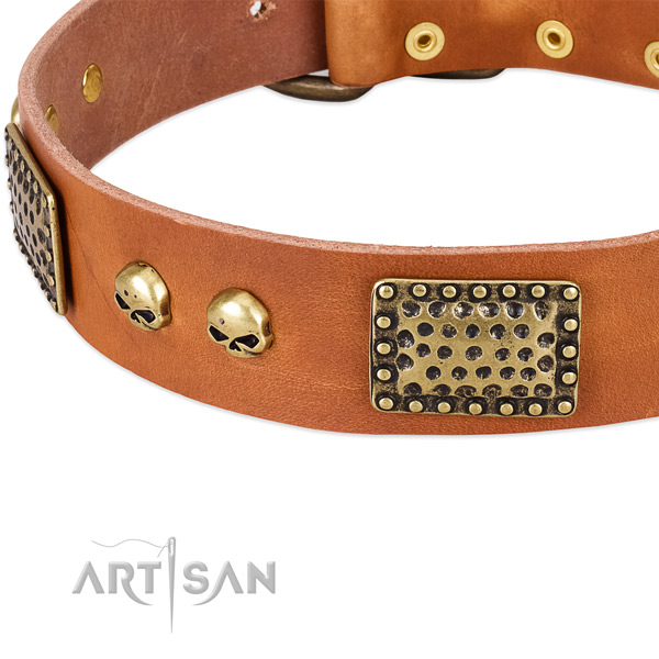 Strong embellishments on full grain genuine leather dog collar for your canine