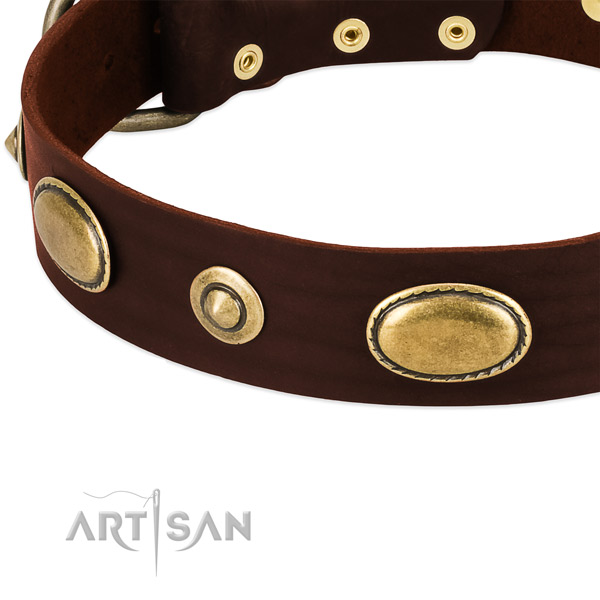 Corrosion proof adornments on genuine leather dog collar for your four-legged friend