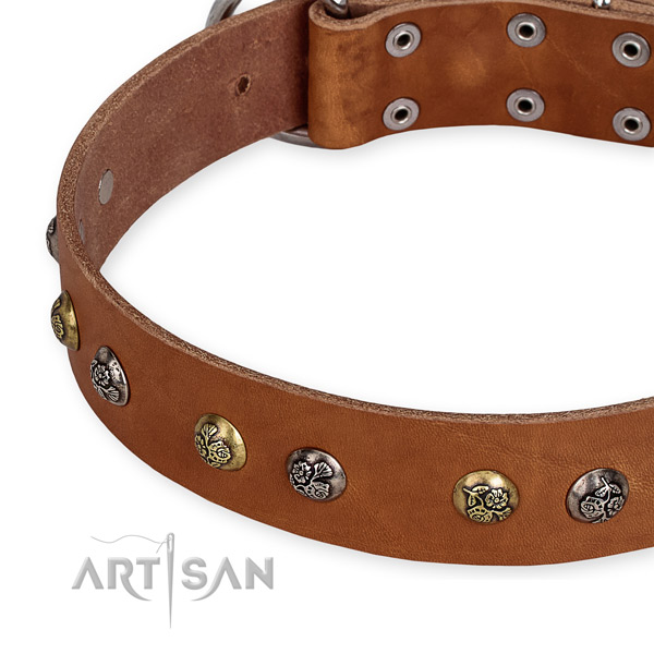 Genuine leather dog collar with unique reliable embellishments