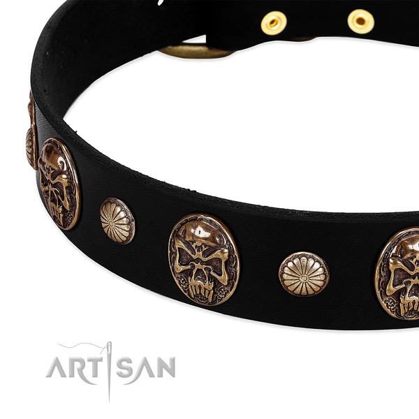 Full grain genuine leather dog collar with exquisite embellishments