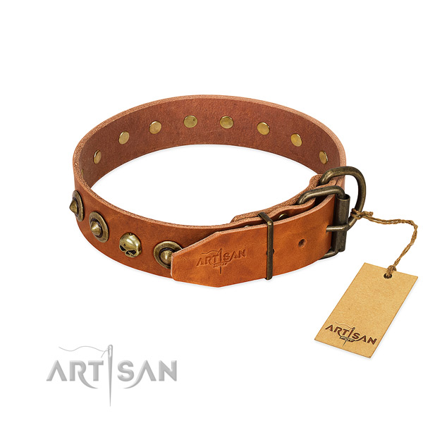 Full grain genuine leather collar with top notch adornments for your doggie