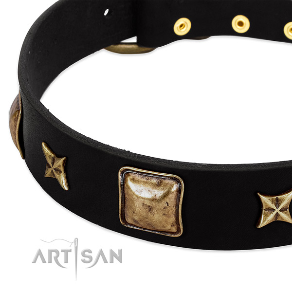 Natural leather dog collar with top notch adornments
