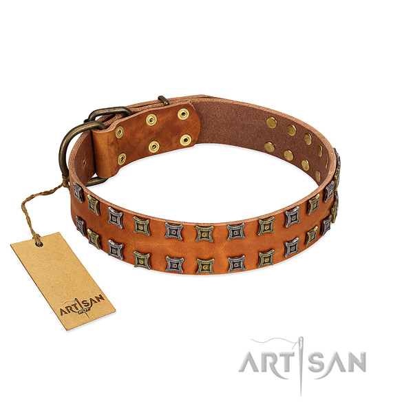 Soft natural leather dog collar with studs for your dog
