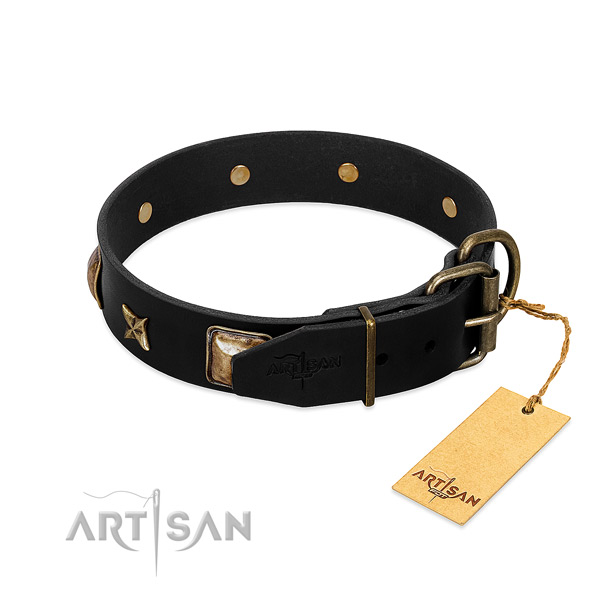 Corrosion proof fittings on leather collar for walking your canine