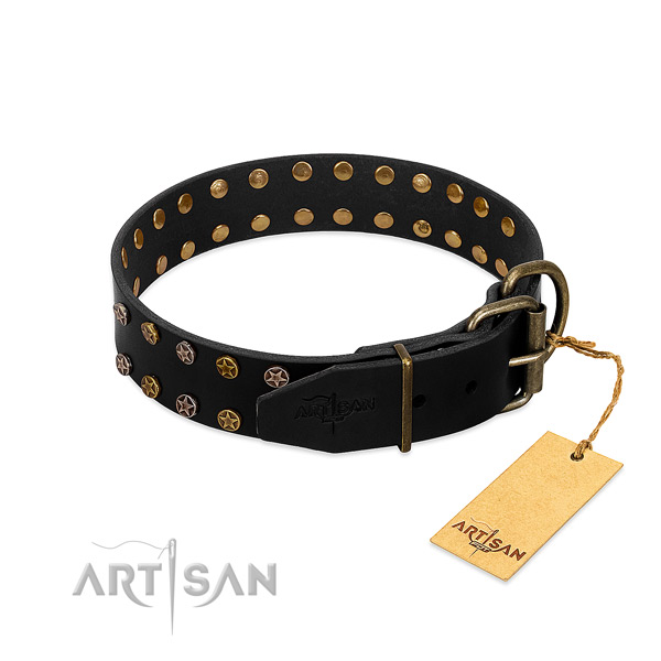 Full grain leather collar with top notch adornments for your canine