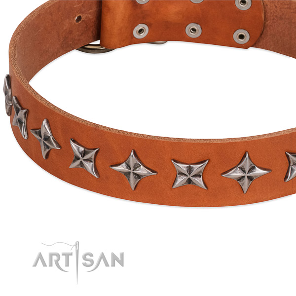 Comfortable wearing studded dog collar of quality leather