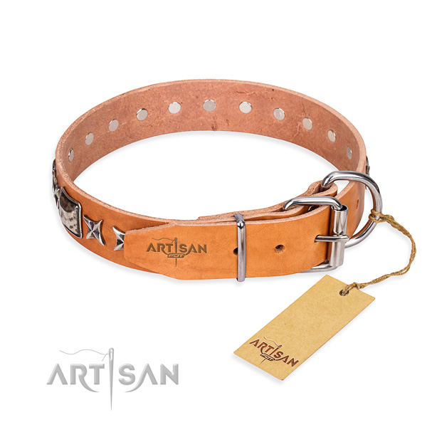 Quality adorned dog collar of leather