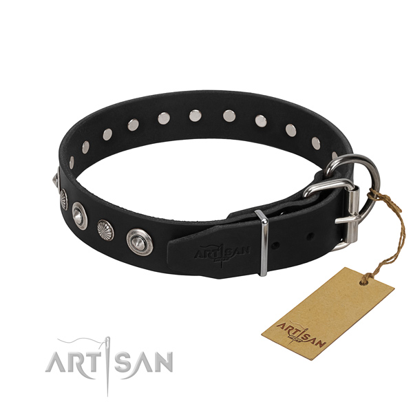 Fine quality full grain leather dog collar with stylish adornments