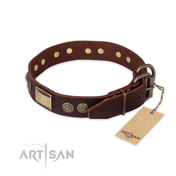 Corrosion proof traditional buckle on full grain natural leather collar for everyday walking your dog