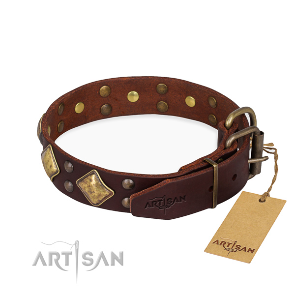 Full grain natural leather dog collar with exceptional corrosion proof decorations