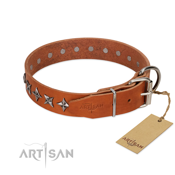 Basic training embellished dog collar of finest quality natural leather