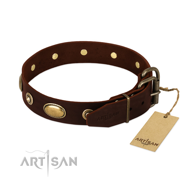 Corrosion proof decorations on leather dog collar for your four-legged friend